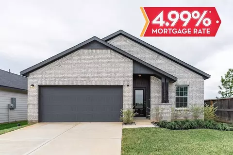 25039 Apricot Ct, Montgomery, TX 77316