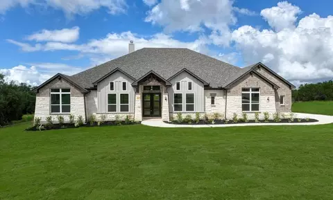 10679 Chestnut Warbler, New Braunfels, TX 78132