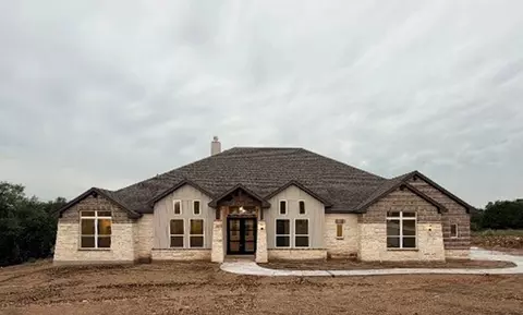 10679 Chestnut Warbler, New Braunfels, TX 78132