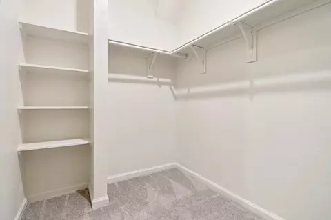 Other - 11324 Arnold Loop, San Antonio, FL 33576 photo 4 of 4