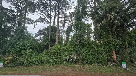1927 Travelers Palm Dr, Edgewater, FL 32141