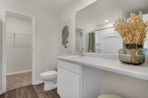 Bath - 3573 Bay Magnolia Way, Pace, FL 32571 photo 1 of 3