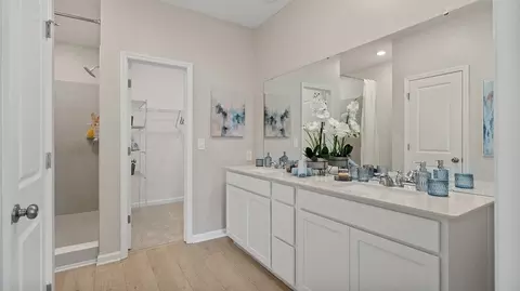 Bath - 3178 Mindfullness Dr, Clermont, FL 34714 photo 1 of 3