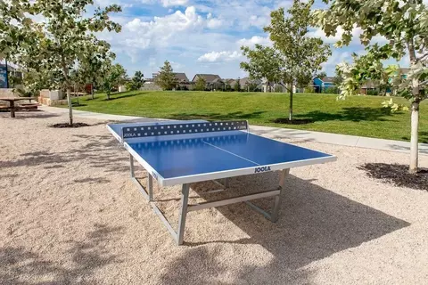 Other - 6308 Mcmurtry St, Austin, TX 78747 photo 20 of 20