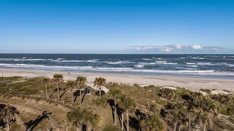 View/Area - 430 Cherry Elm Dr, Saint Augustine, FL 32092 photo 7 of 43