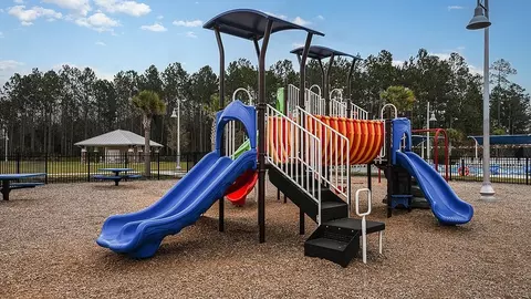 View/Area - 430 Cherry Elm Dr, Saint Augustine, FL 32092 photo 27 of 43