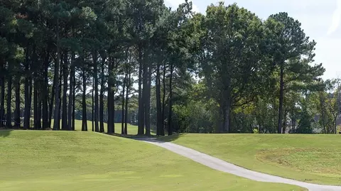 Other - 100 Ailey Brook Way, Wake Forest, NC 27587 photo 12 of 18