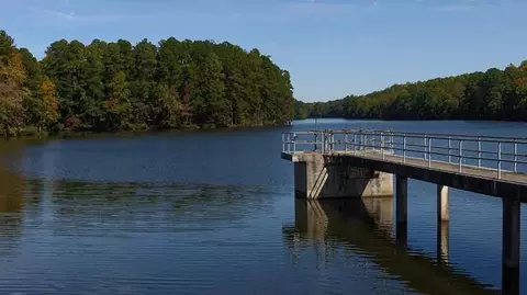 View/Area - 100 Ailey Brook Way, Wake Forest, NC 27587 photo 4 of 4