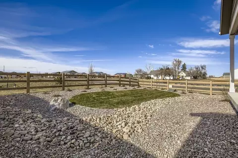 Exterior - 659 Noola St, Windsor, CO 80550 photo 11 of 13