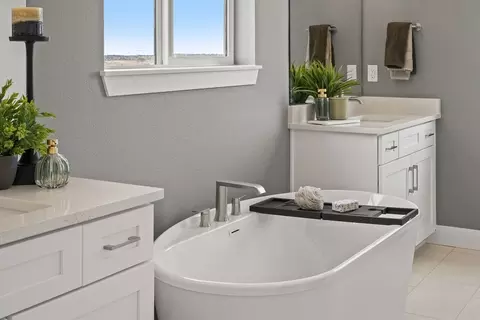 Bath - 16845 Mighty Eagle Ave, Parker, CO 80134 photo 2 of 10