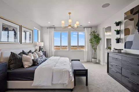 Bedroom - 16845 Mighty Eagle Ave, Parker, CO 80134 photo 3 of 11