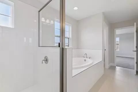 Bath - 8517 Dove Bog Ter, Parrish, FL 34219 photo 5 of 6