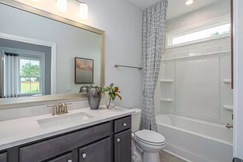 Bath - 423 Hickory Shad Ln, Bluffton, SC 29909 photo 1 of 4