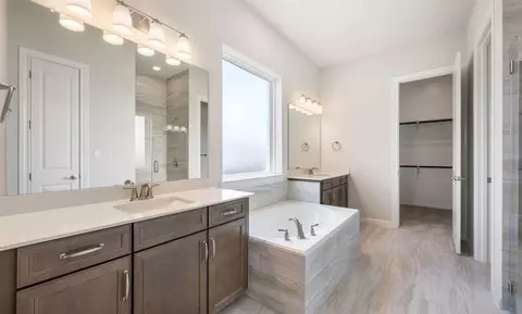 Bath - 16616 Conroe Dr, Manor, TX 78653 photo 4 of 7