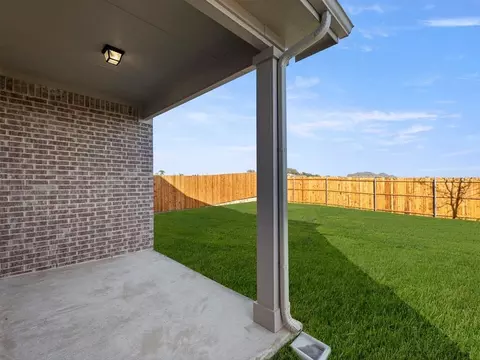 Exterior - 3993 Olin Way, Celina, TX 75009 photo 6 of 9