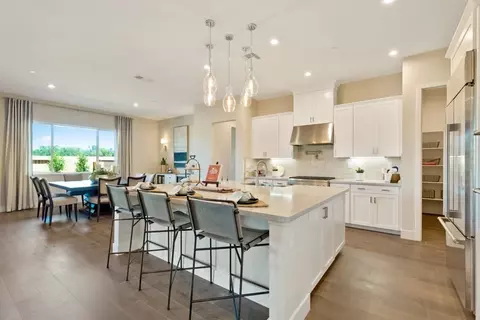 Other - 1007 Lodge Way, Lincoln, CA 95648 photo 54 of 215