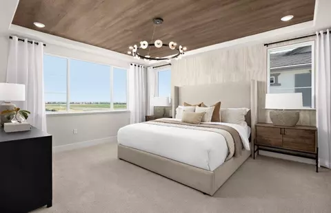 Bedroom - 17084 Addison Ave, Lathrop, CA 95330 photo 8 of 8