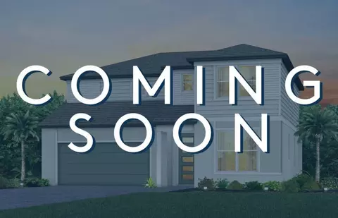 Other - 13716 Sunlight Meadow Dr, Riverview, FL 33578 photo 1 of 12