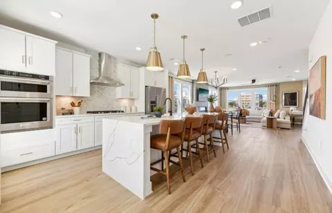 19792 Lavender Dust Sq, Ashburn, VA 20147
