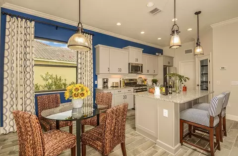 Kitchen - 10025 Hammock Brook Dr, Parrish, FL 34219 photo 2 of 3