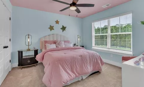 Bedroom - 384 Conifer Ln, Ball Ground, GA 30107 photo 12 of 13