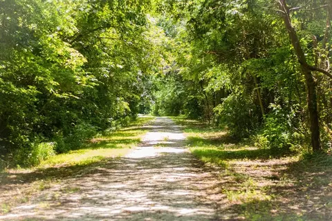 Other - Ivy And Aberdeen Avenue, Carl Junction, MO 64834 photo 15 of 22