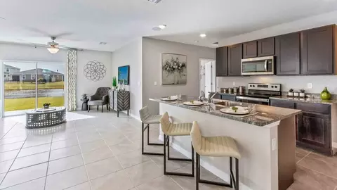 Other - 13610 Fenwick Stream Dr, Wimauma, FL 33598 photo 1 of 9