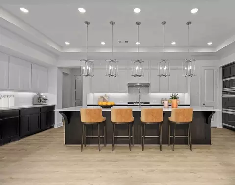 Kitchen - 325 Vale Run, Kyle, TX 78640 photo 1 of 6
