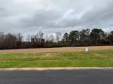 Other - 98 Barning Way, Angier, NC 27501 photo 2 of 8