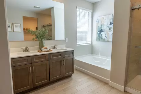 Bath - 494 W Rock Needle Trl, Apache Junction, AZ 85120 photo 5 of 5