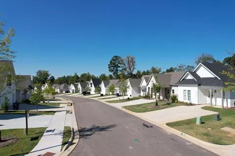 View/Area - 3136 Bottle Way, Auburn, AL 36830 photo 1 of 7