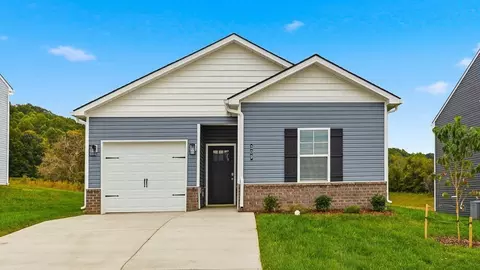 309 Chimney View Loop, Blountville, TN 37617
