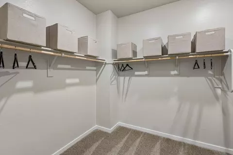 11929 W Mesa Ct, Maricopa, AZ 85139 photo 106