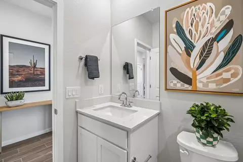 11929 W Mesa Ct, Maricopa, AZ 85139 photo 143