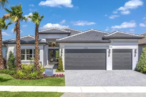 32555 Murano Ct, Wesley Chapel, FL 33543