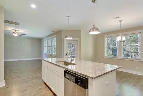 Other - 219 Creek Pointe Dr, Moncks Corner, SC 29461 photo 1 of 10