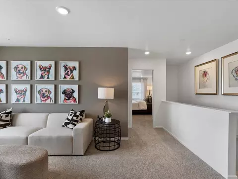 Entry Way - 1633 Colorado River Dr, Windsor, CO 80550 photo 2 of 2