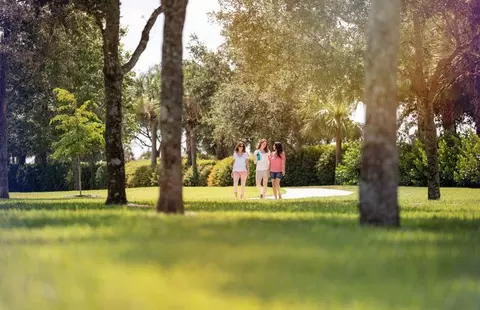 View/Area - 3583 Loyalty Loop, Ave Maria, FL 34142 photo 8 of 14