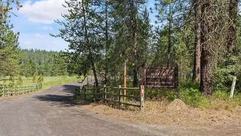 Other - 104 S Pippin Ave, Deer Park, WA 99006 photo 14 of 16