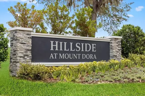 20263 Lavender Bloom Loop, Mount Dora, FL 32757 photo 2