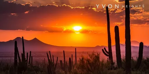 Near Oracle Road And River Road, Tucson, AZ 85741