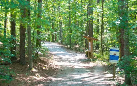 View/Area - 1142 Larkin Dr, Buford, GA 30518 photo 4 of 5