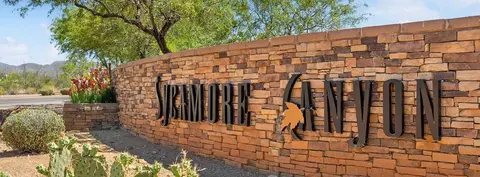 View/Area - 8870 E Moontear Way, Vail, AZ 85641 photo 2 of 5