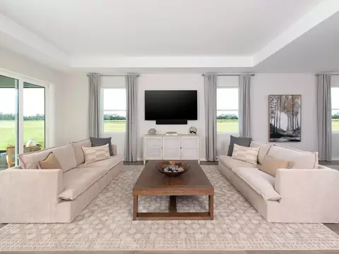 Living - 11127 Tire Swing Dr, Parrish, FL 34219 photo 1 of 3