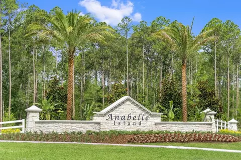 2771 Laurel Falls Dr, Green Cove Springs, FL 32043
