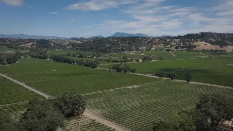 Other - 102 Tracy Dr, Windsor, CA 95492 photo 12 of 12