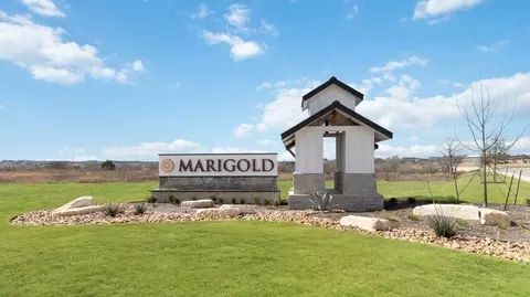 View/Area - 1122 Celosia Loop, Kyle, TX 78640 photo 1 of 5