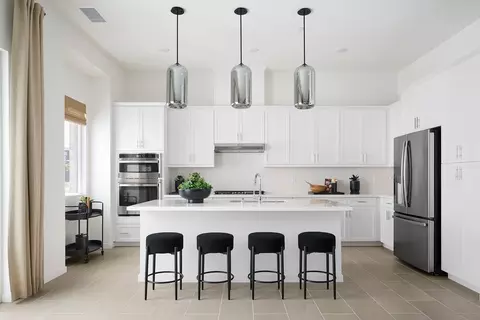 Kitchen - 261 Blue Wing, Irvine, CA 92618 photo 2 of 5