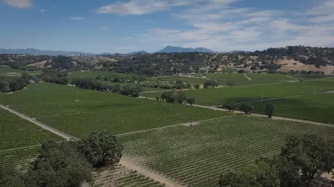 Other - 149 Amanda Way, Windsor, CA 95492 photo 13 of 13
