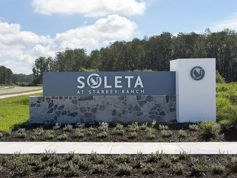 View/Area - 2881 Soleta Vw, Odessa, FL 33556 photo 8 of 8